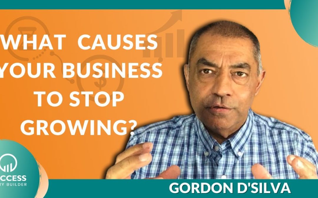 Why Business Stop Growing